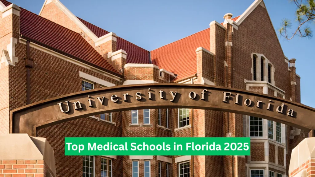 Top Medical Schools in Florida 2025 Your Path to a Stellar Medical Career