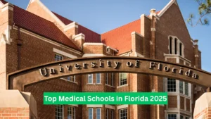Top Medical Schools in Florida 2025 Your Path to a Stellar Medical Career