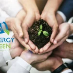 Synergy Green Stock Surges 11% After Adani Wind Order Win